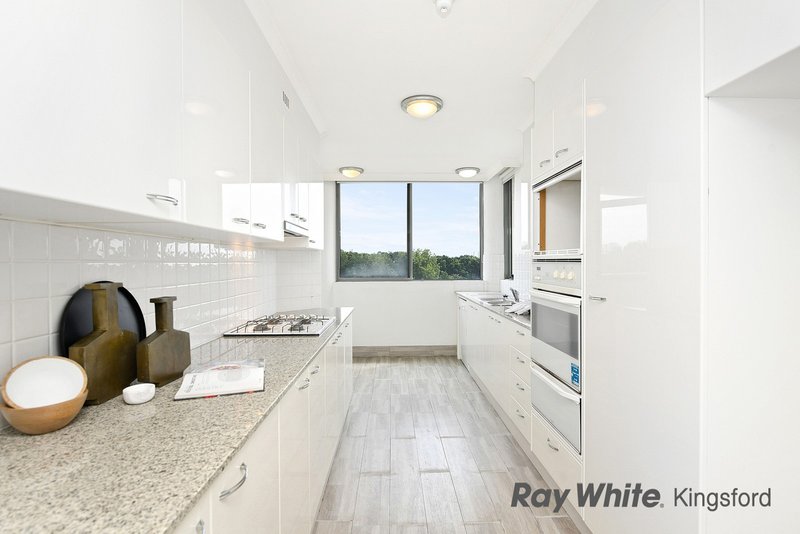 Photo - 804/97 Brompton Road, Kensington NSW 2033 - Image 2