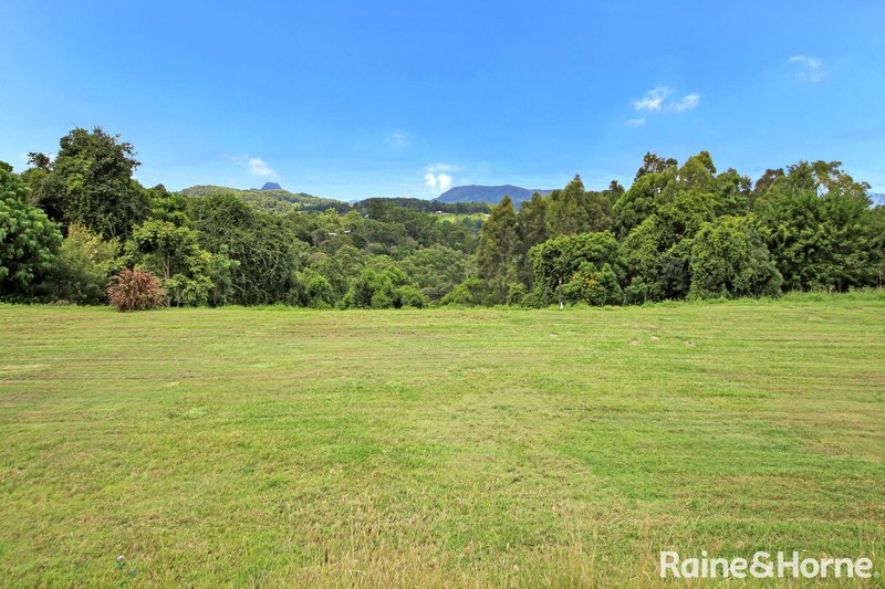 Photo - 805 Cooroy Belli Creek Road, Ridgewood QLD 4563 - Image 25