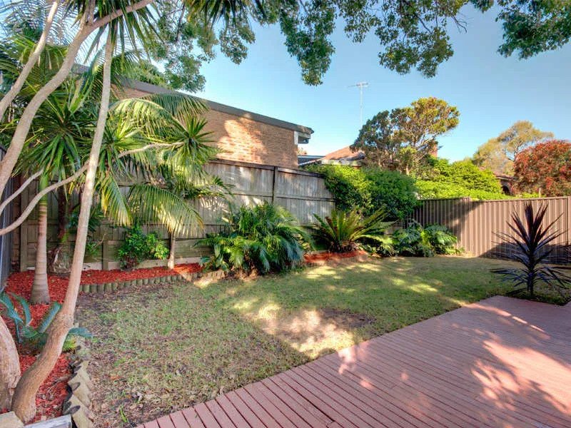 Photo - 808 King George Road, Hurstville NSW 2220 - Image 9