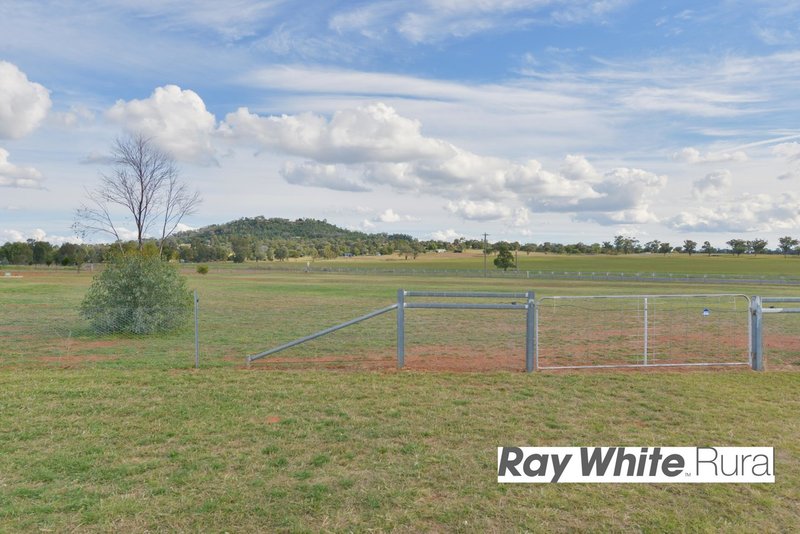 Photo - 808 Moore Creek Road, Tamworth NSW 2340 - Image 16