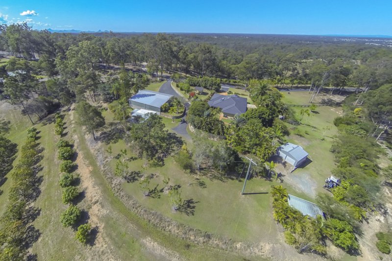 Photo - 81 Alf Dobson Road, Narangba QLD 4504 - Image 7