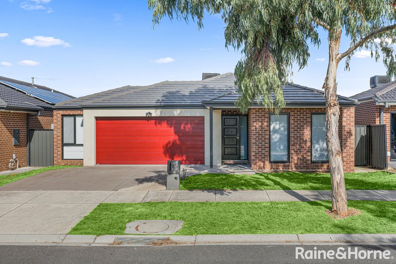 81 Biltmore Crescent, Roxburgh Park VIC 3064