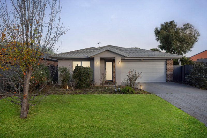 81 Bluebell Drive, Craigieburn VIC 3064