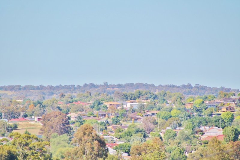 Photo - 81 Brock Street, Young NSW 2594 - Image 16