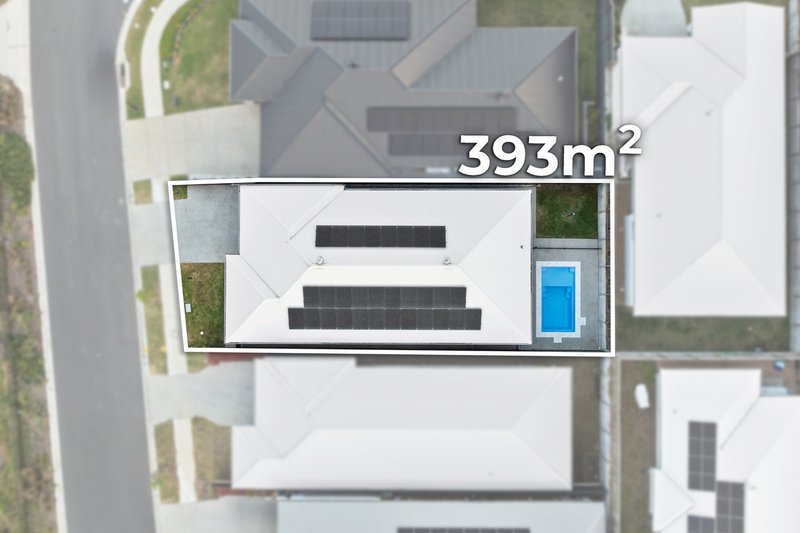 Photo - 81 Carnarvon Drive, South Ripley QLD 4306 - Image 17