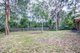 Photo - 81 Castile Crescent, Edens Landing QLD 4207 - Image 11