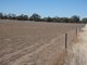 Photo - 81 Chandlers Road, Nhill VIC 3418 - Image 3