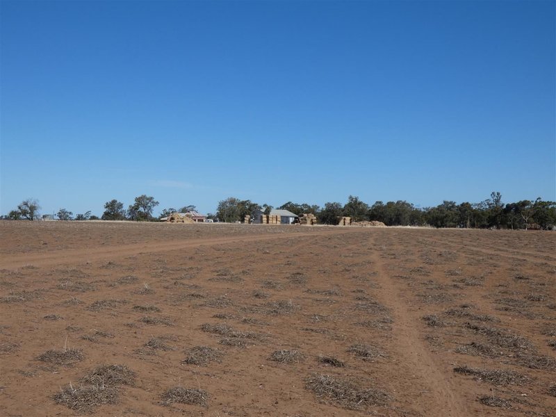 Photo - 81 Chandlers Road, Nhill VIC 3418 - Image 10