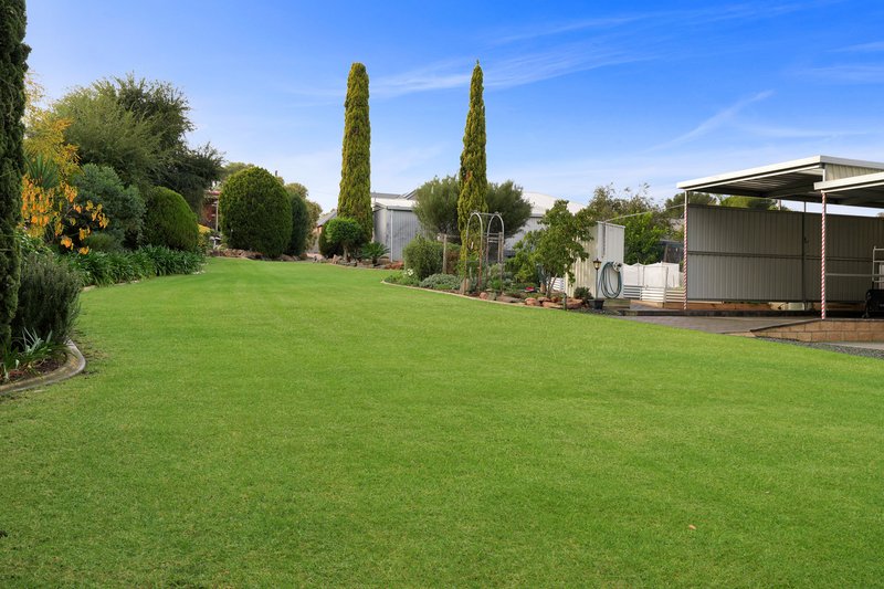 Photo - 81 Cheek Avenue, Gawler East SA 5118 - Image 25