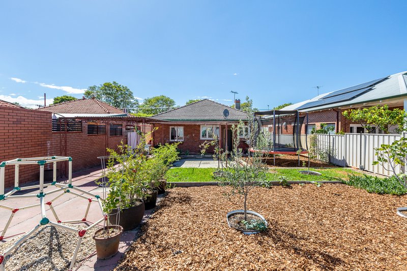 Photo - 81 Dunedin Street, Mount Hawthorn WA 6016 - Image 20