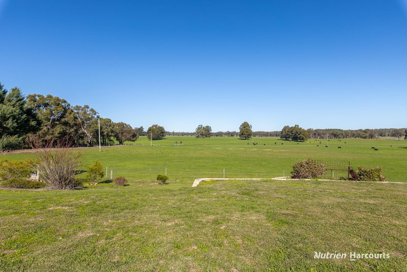 Photo - 81 Edwards Road, Balbarrup WA 6258 - Image 24