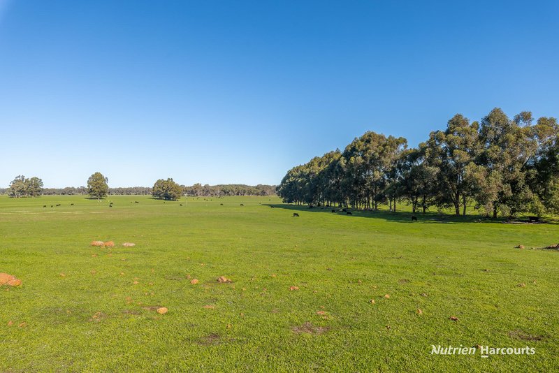 Photo - 81 Edwards Road, Balbarrup WA 6258 - Image 26