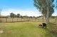 Photo - 81 Fairway Drive, Sanctuary Point NSW 2540 - Image 6