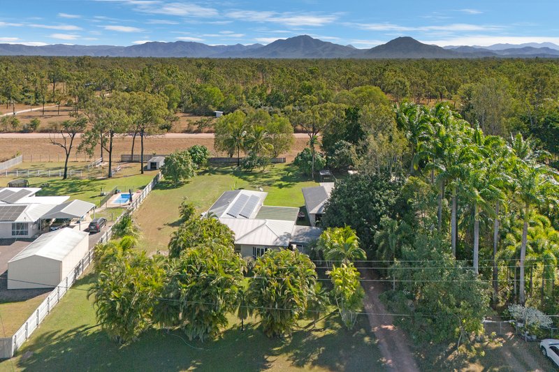 Photo - 81 Gibraltar Road, Rangewood QLD 4817 - Image 1