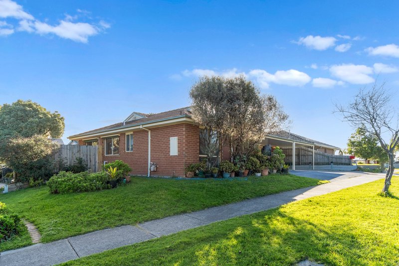 Photo - 81 Granite Drive, Langwarrin VIC 3910 - Image 14