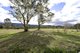 Photo - 81 Jim Bradley Crescent, Uriarra Village ACT 2611 - Image 22