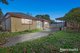 Photo - 81 Jolimont Road, Forest Hill VIC 3131 - Image 5