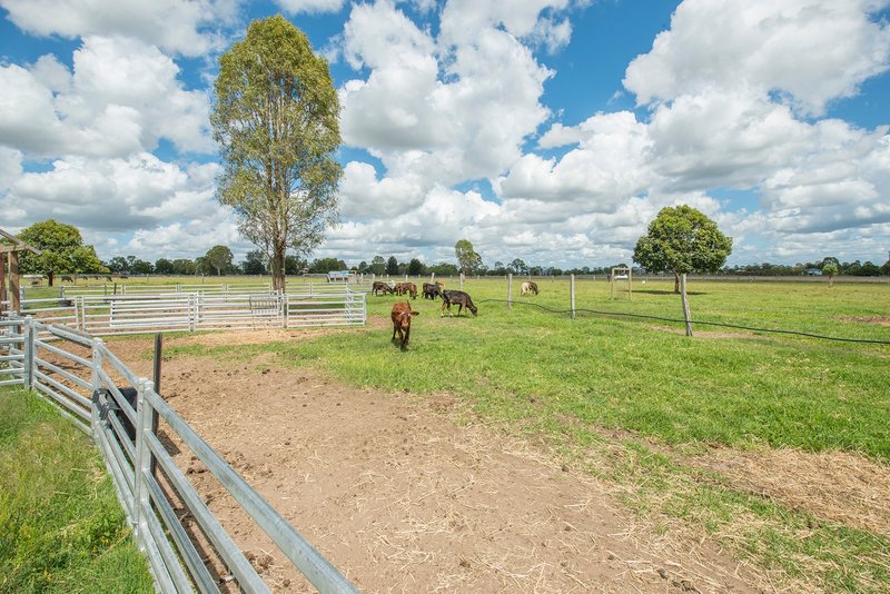 Photo - 81 Mccarthy Road, Mount Tarampa QLD 4311 - Image 22