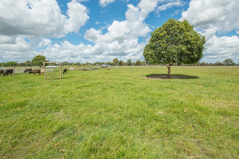 Photo - 81 Mccarthy Road, Mount Tarampa QLD 4311 - Image 23