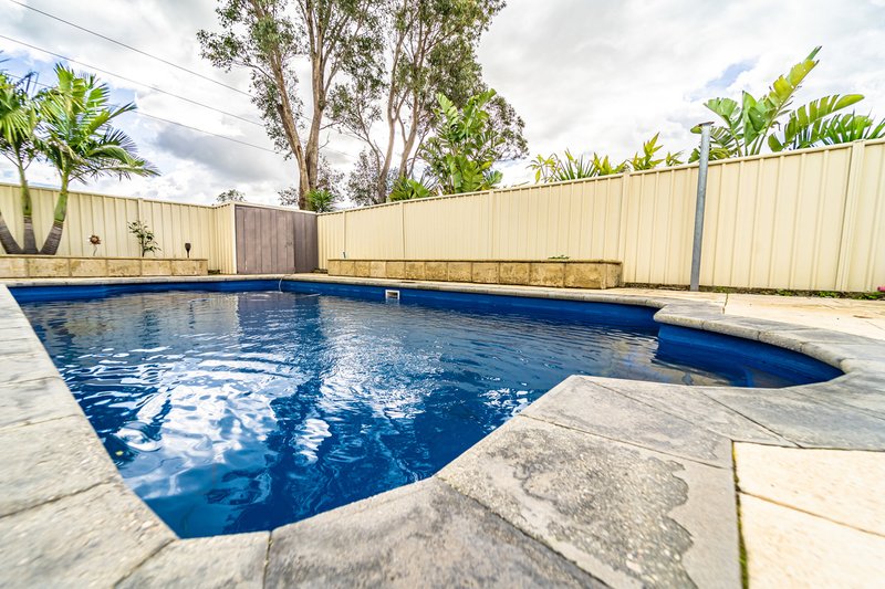 Photo - 81 Midsummer Circle, Pinjarra WA 6208 - Image 25