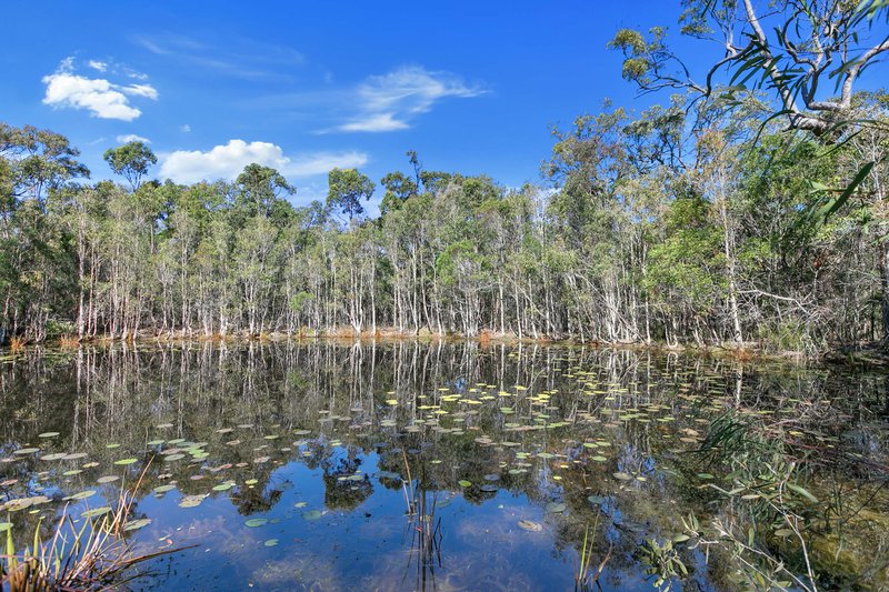 Photo - 81 Moes Road, Walligan QLD 4655 - Image 27