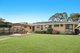 Photo - 81 Pound Avenue, Frenchs Forest NSW 2086 - Image 4