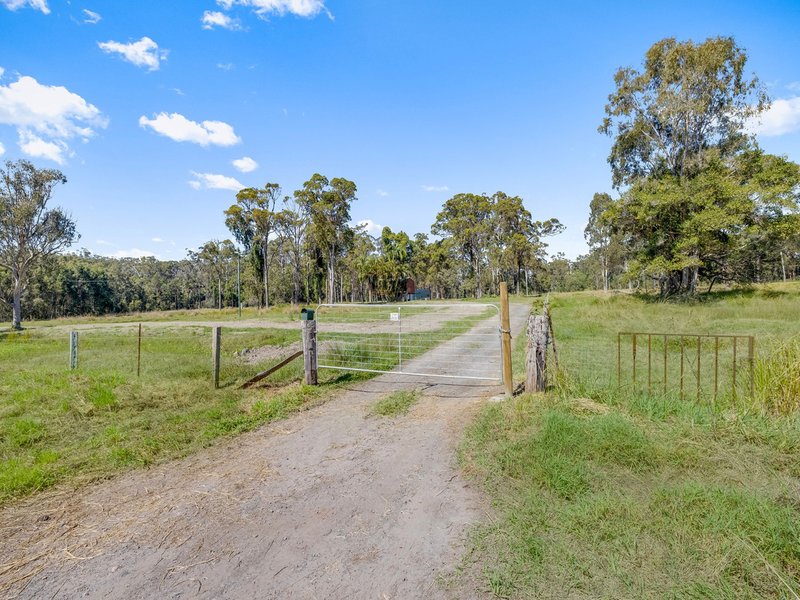 Photo - 81 Rainforest Drive, Meridan Plains QLD 4551 - Image 4