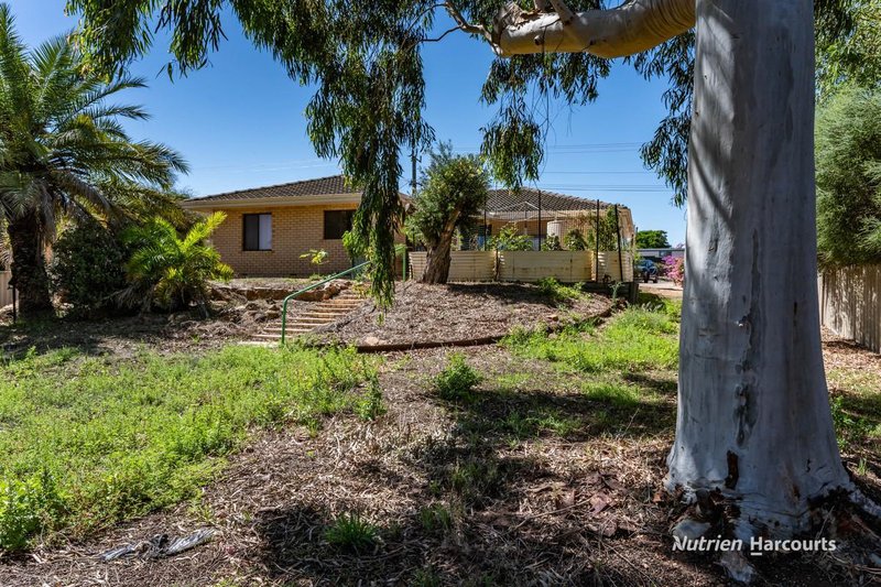 Photo - 81 Robinson Street, Northampton WA 6535 - Image 16