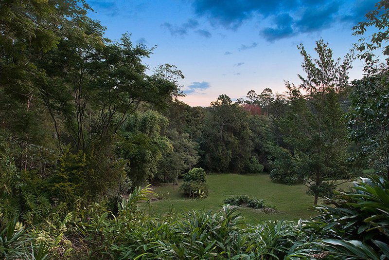 Photo - 81 Sawreys Road, Buderim QLD 4556 - Image 13