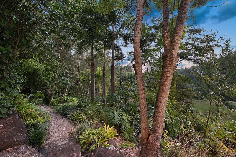 Photo - 81 Sawreys Road, Buderim QLD 4556 - Image 14