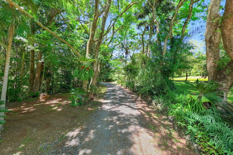 Photo - 81 Shaws Lane, Tuckombil NSW 2477 - Image 11