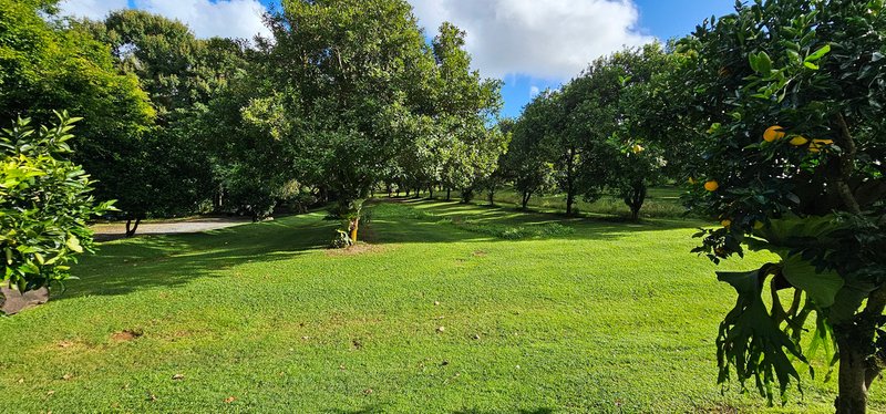Photo - 81 Shaws Lane, Tuckombil NSW 2477 - Image 12