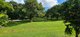 Photo - 81 Shaws Lane, Tuckombil NSW 2477 - Image 12