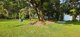 Photo - 81 Shaws Lane, Tuckombil NSW 2477 - Image 16