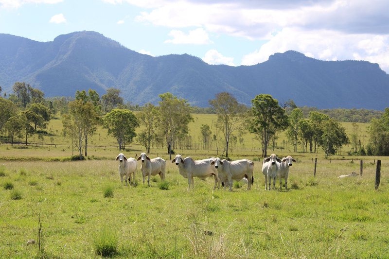 Photo - 81 Simmonds Road, Tarome QLD 4309 - Image 1