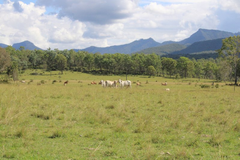Photo - 81 Simmonds Road, Tarome QLD 4309 - Image 4