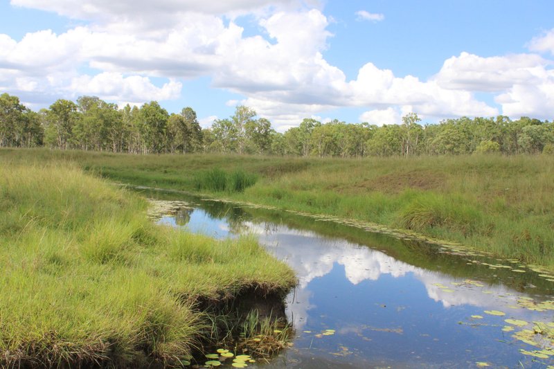 Photo - 81 Simmonds Road, Tarome QLD 4309 - Image 8