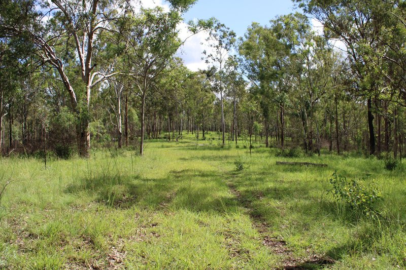 Photo - 81 Simmonds Road, Tarome QLD 4309 - Image 23