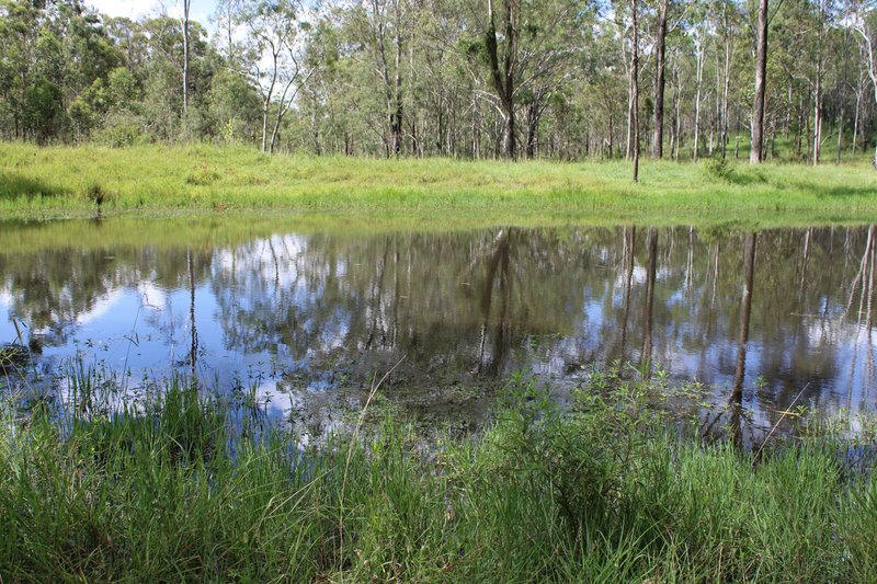 Photo - 81 Simmonds Road, Tarome QLD 4309 - Image 24