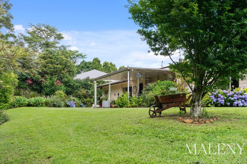 Photo - 81 Tallowwood Street, Maleny QLD 4552 - Image 22