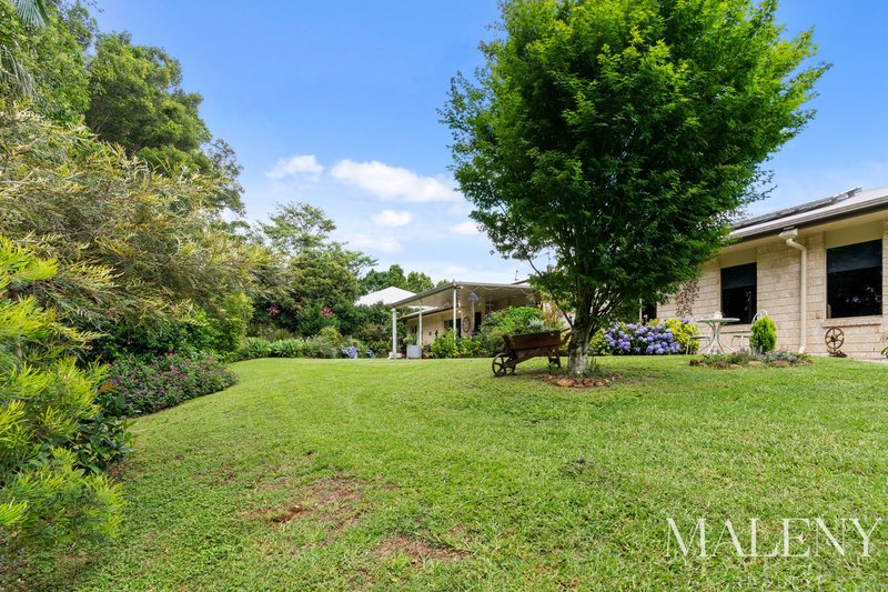 Photo - 81 Tallowwood Street, Maleny QLD 4552 - Image 23