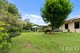 Photo - 81 Tallowwood Street, Maleny QLD 4552 - Image 23