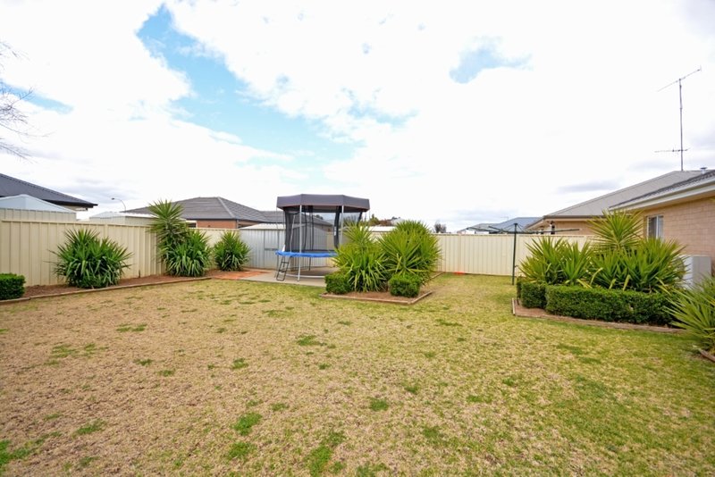 Photo - 81 Verri Street, Griffith NSW 2680 - Image 13