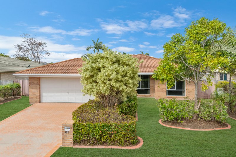 81 Wallace Circuit, Kirwan QLD 4817