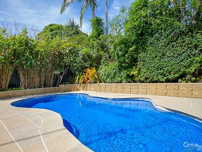 Photo - 81 Wrigley Street, Maroochydore QLD 4558 - Image 6