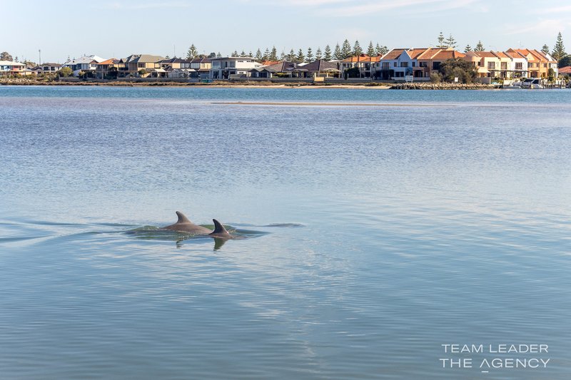 Photo - 8/10 Winjan Place, Dudley Park WA 6210 - Image 32