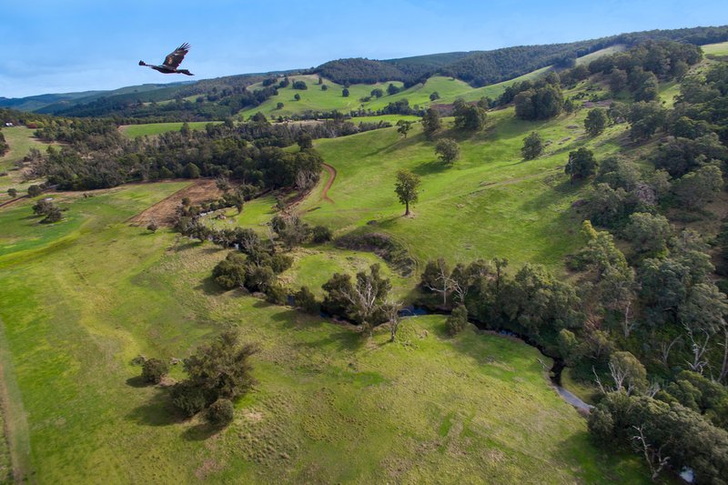 8129 Balingup-Nannup Road, Balingup WA 6253