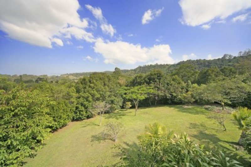 Photo - 813 Hunchy Road, Hunchy QLD 4555 - Image 21