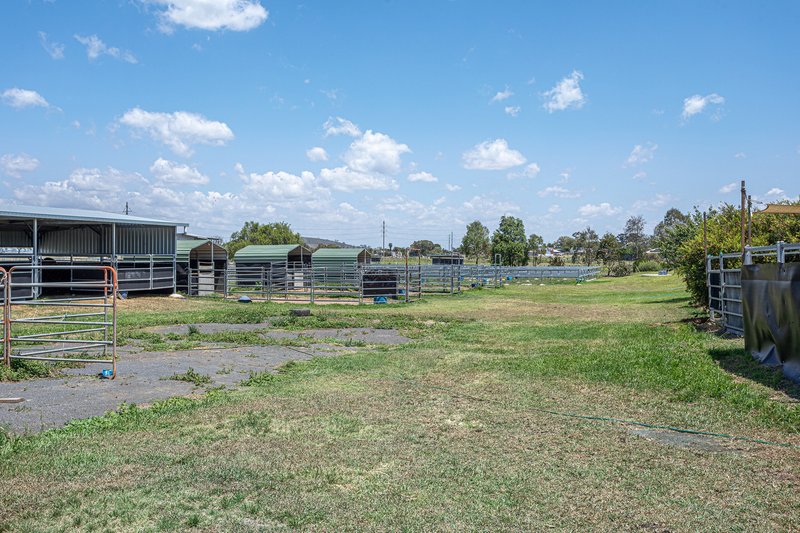 Photo - 813 Toowoomba Athol Road, Westbrook QLD 4350 - Image 8