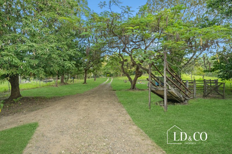Photo - 813 Yakapari-Seaforth Road, Mount Jukes QLD 4740 - Image 20